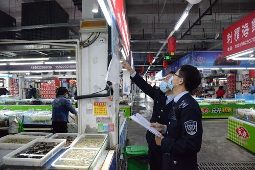 “守夜人”護(hù)民生 武清區(qū)市場監(jiān)管局開展五一節(jié)前農(nóng)貿(mào)市場集中夜查行動